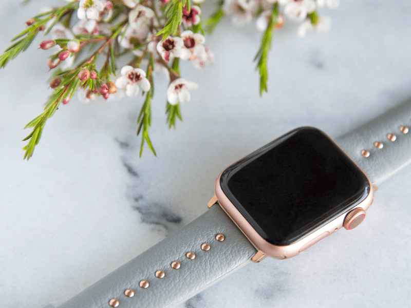 Gray Stud Band for the Apple Watch - Goldenerre Women's Apple Watch Bands and Jewelry